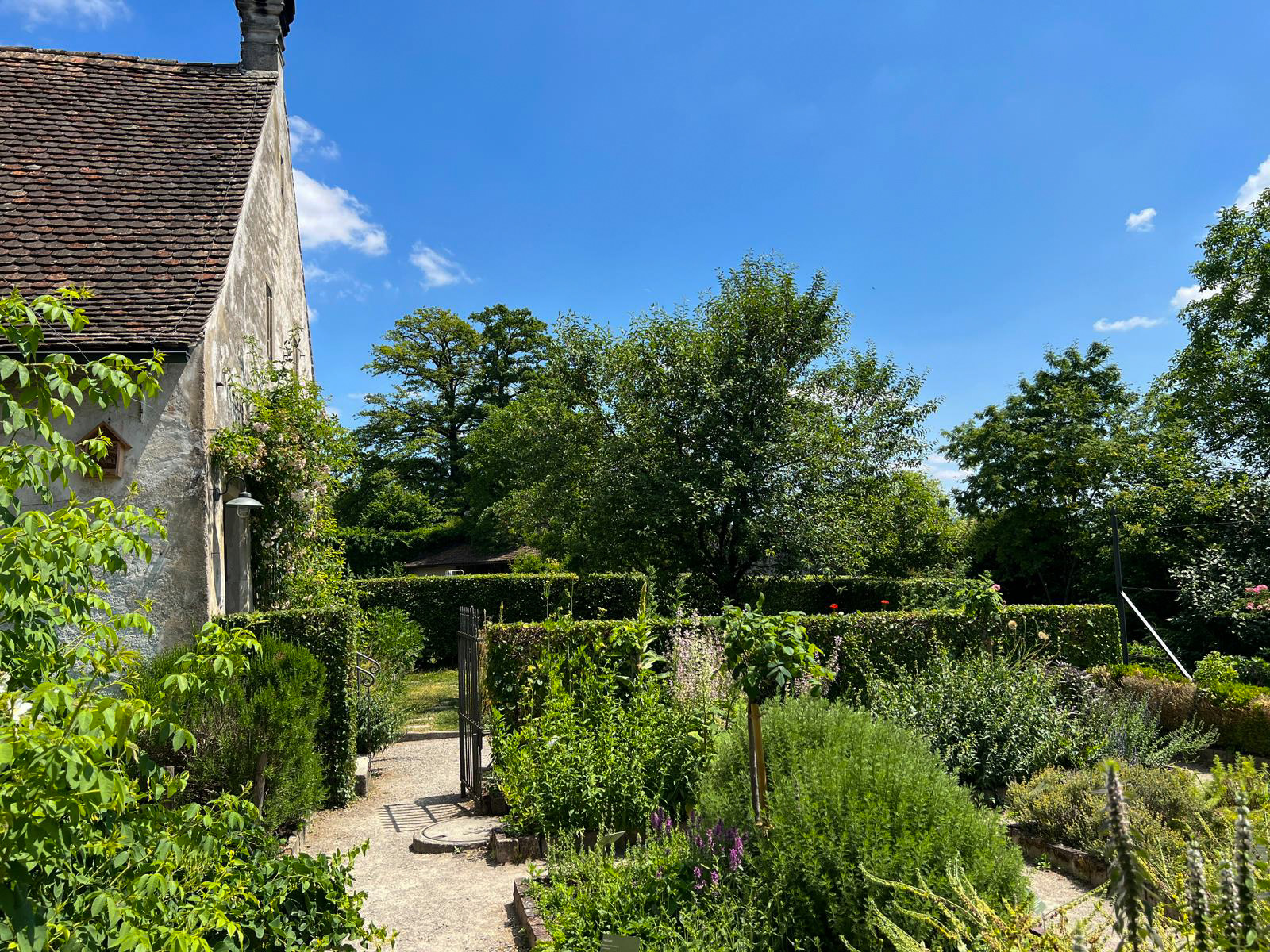 Weg durch einen Kräutergarten mit geschnittenen Hecken neben dem Klosterhaus